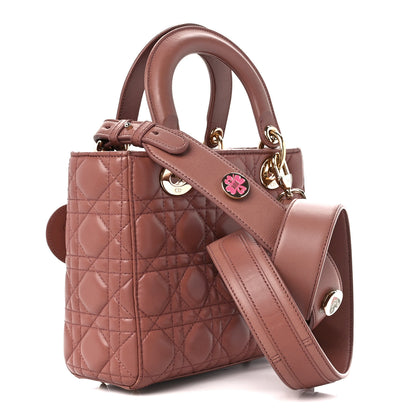 Christian Dior Lambskin Cannage Small Lucky Badges My Lady Dior Petale Brique 3 of 14