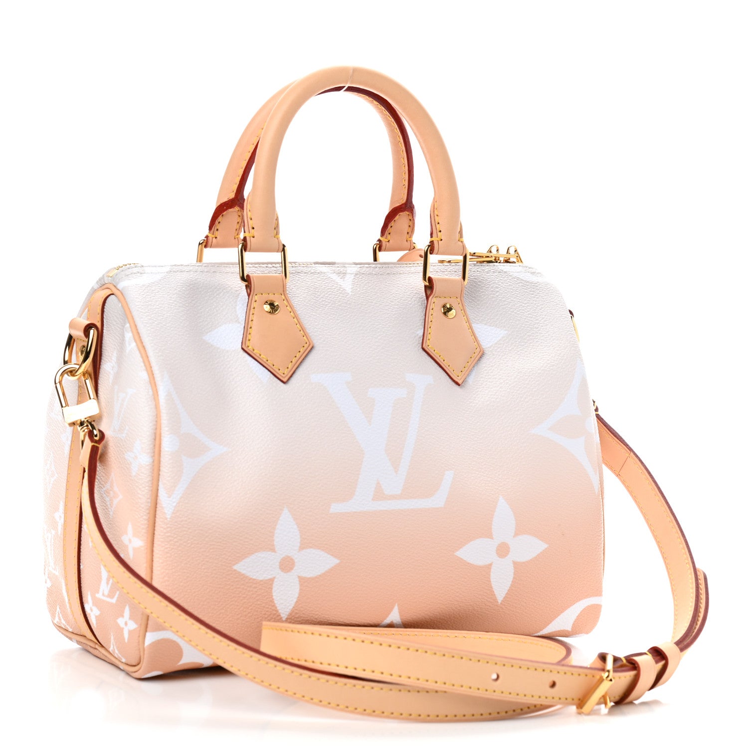 Louis Vuitton Monogram Giant By The Pool Speedy Bandouliere 25 Brume 3 of 9