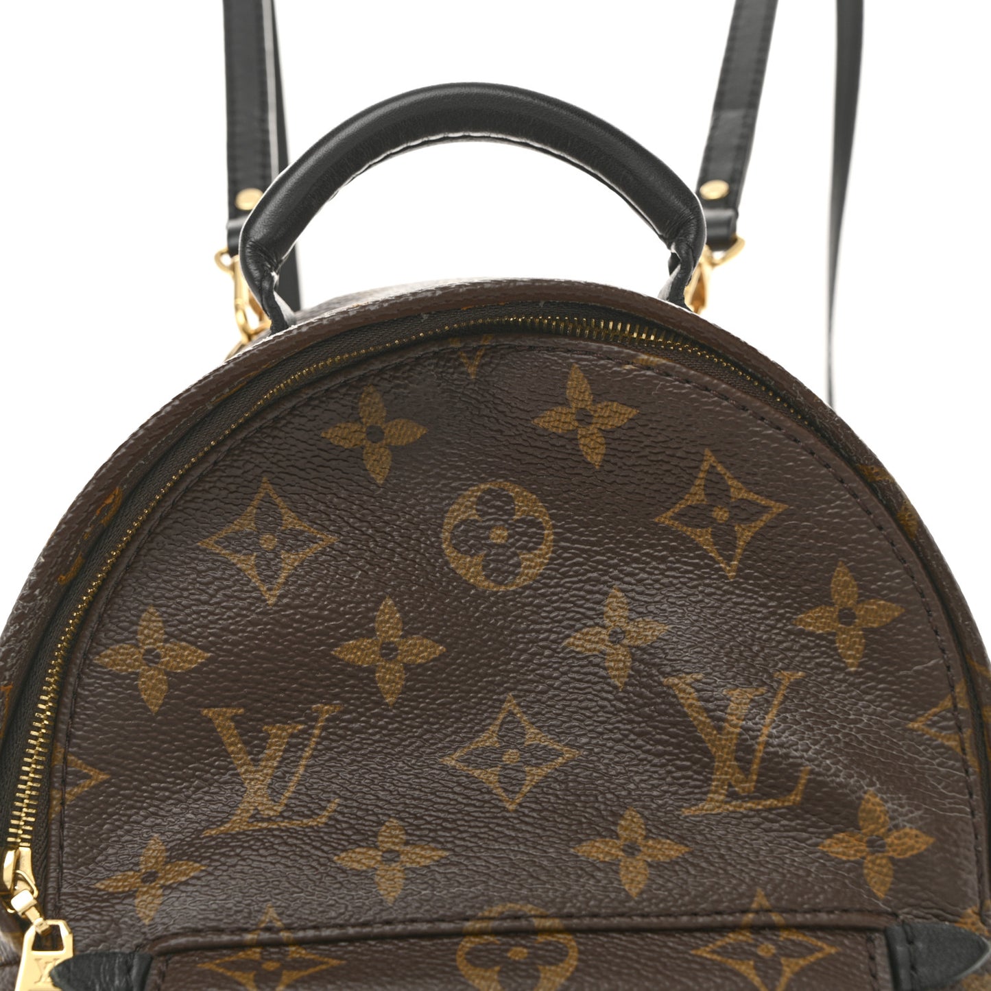 Monogram Palm Springs Backpack Mini