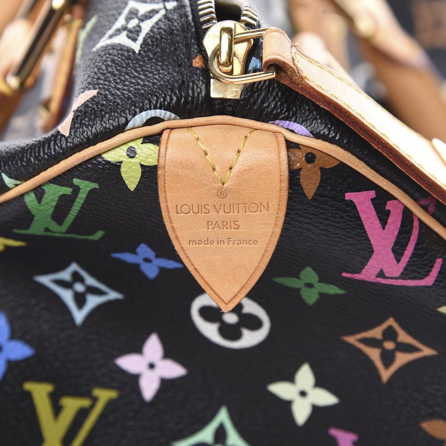 Monogram Multicolor Speedy 30 Black