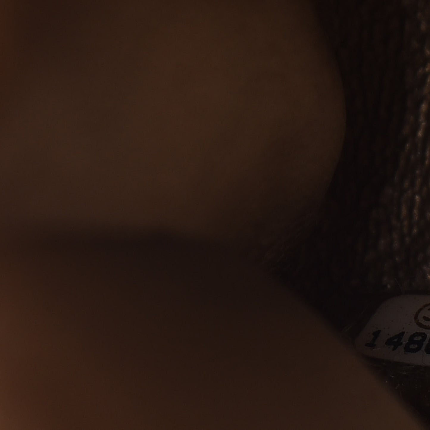 Tweed Garden Party 2.55 Reissue 225 Flap Multicolor