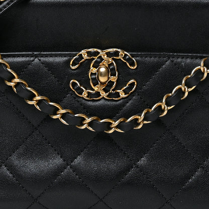 Chanel Goatskin Quilted Chanel 19 Camera Case Black 7 of 9