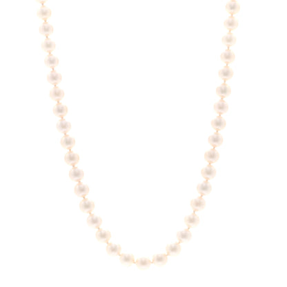 Tiffany 18K White Gold Akoya Cultured Pearl 7-7.5mm Essential Necklace 1 of 5