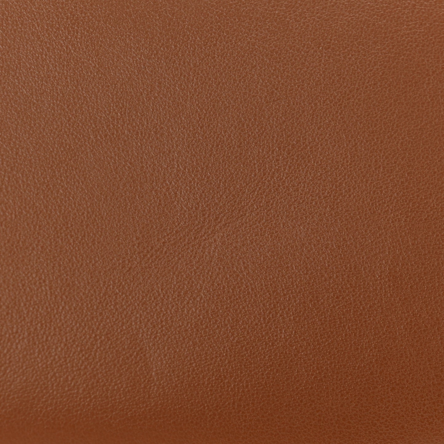 Smooth Calfskin Medium Strap Ava Triomphe Shoulder Bag Tan
