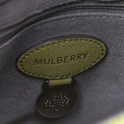 Mulberry Glossy Goatskin Small Lily Flap Pistachio 7 of 22