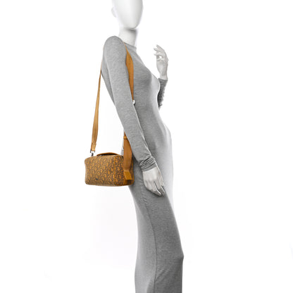 Christian Dior Oblique Lingot 22 Bag Yellow 2 of 10