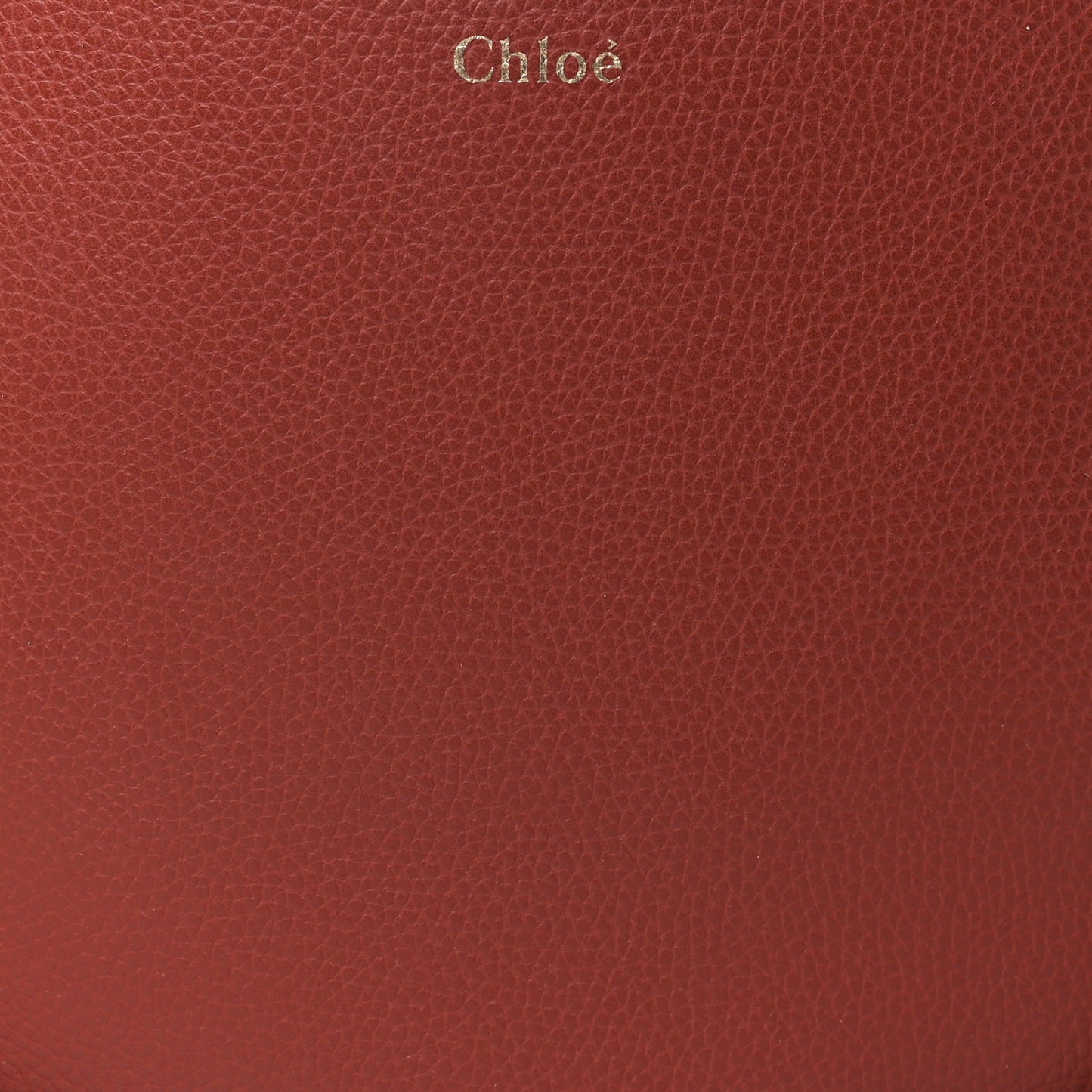 Small Grain Smooth Calfskin Small Darryl Hobo Sepia Brown