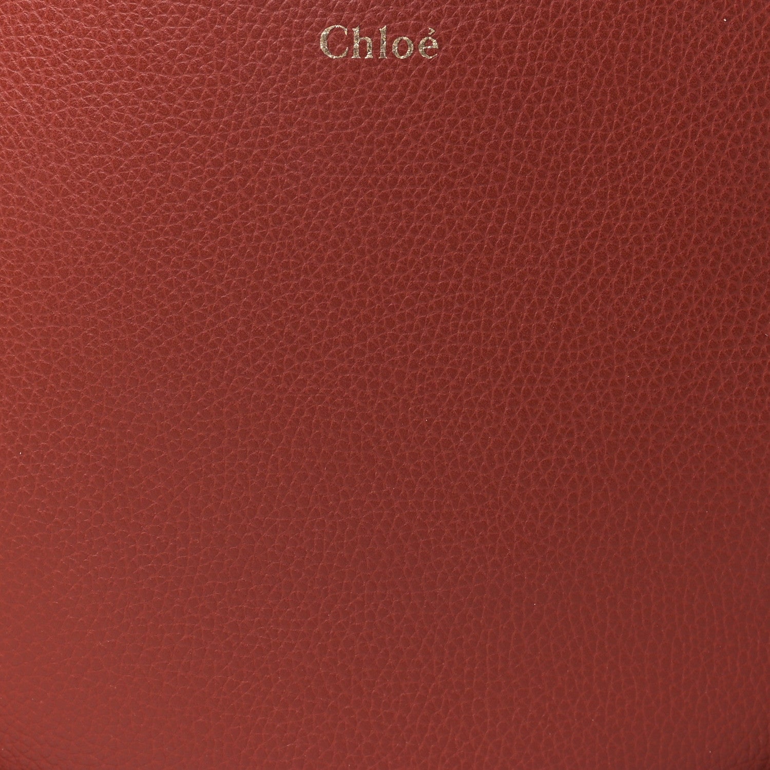 Chloe Small Grain Smooth Calfskin Small Darryl Hobo Sepia Brown 8 of 10