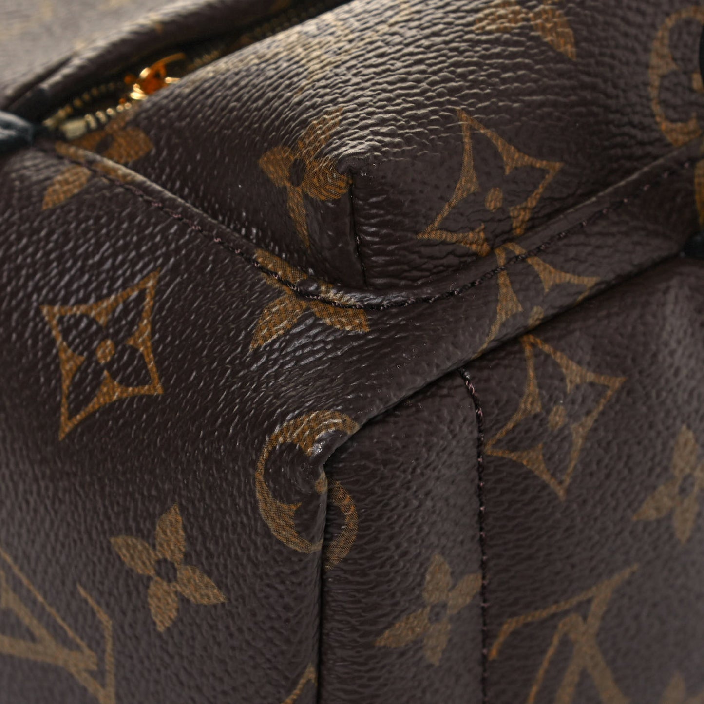 Monogram Palm Springs Backpack Mini