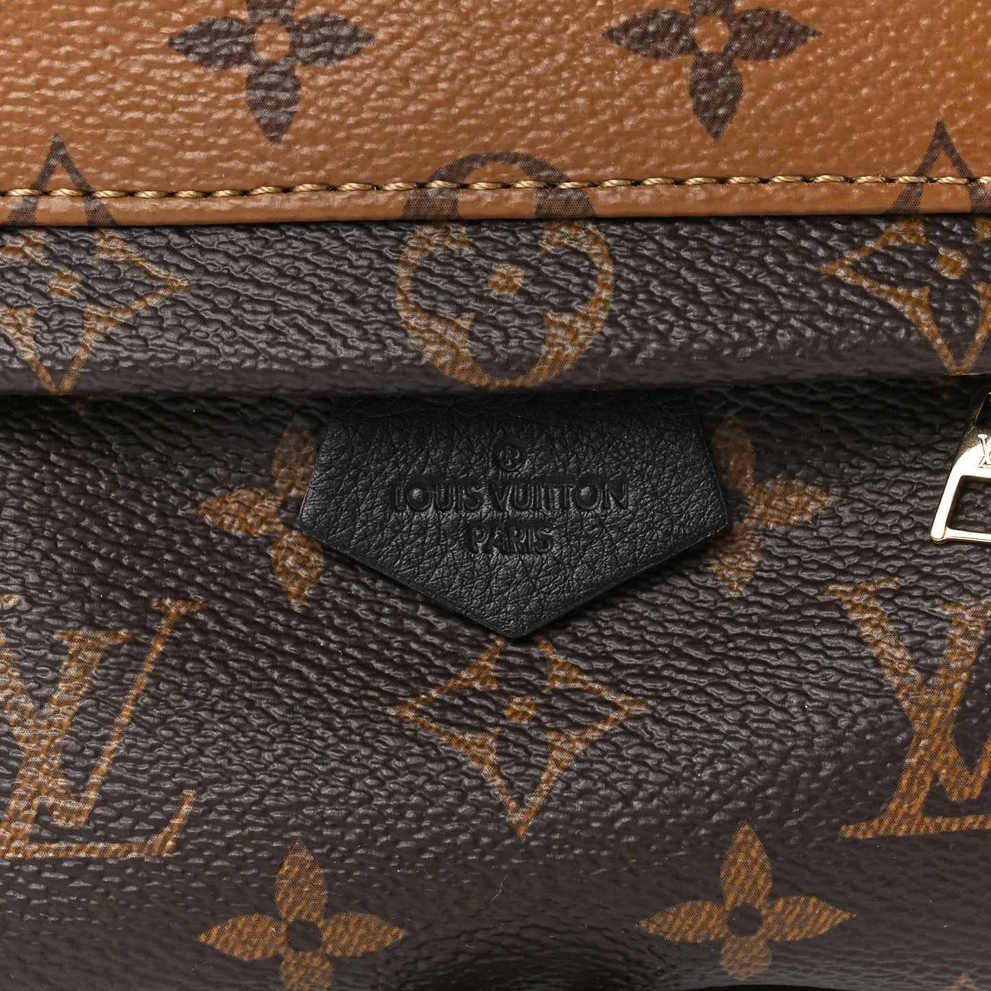 Reverse Monogram Palm Springs Backpack Mini