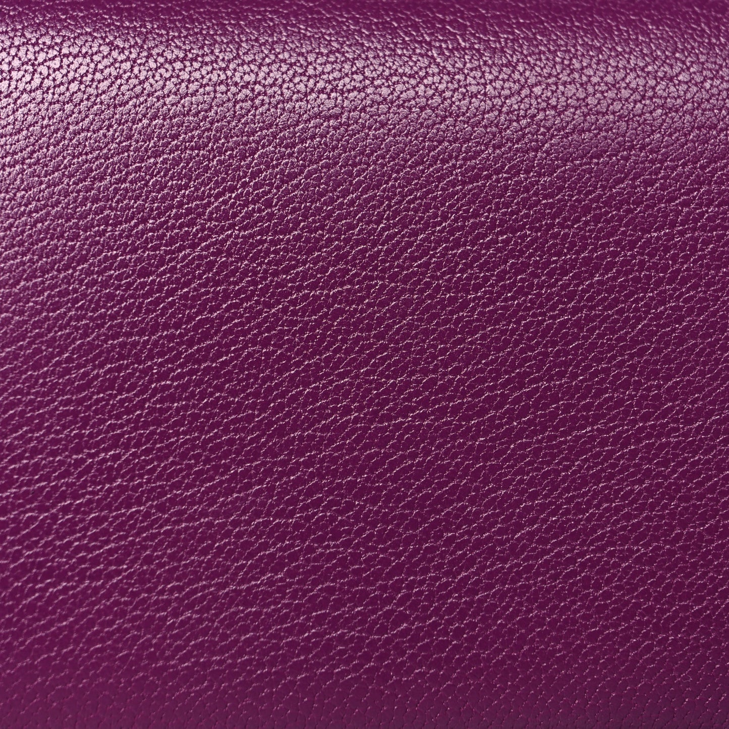 Chevre Mysore Calvi Card Case Anemone