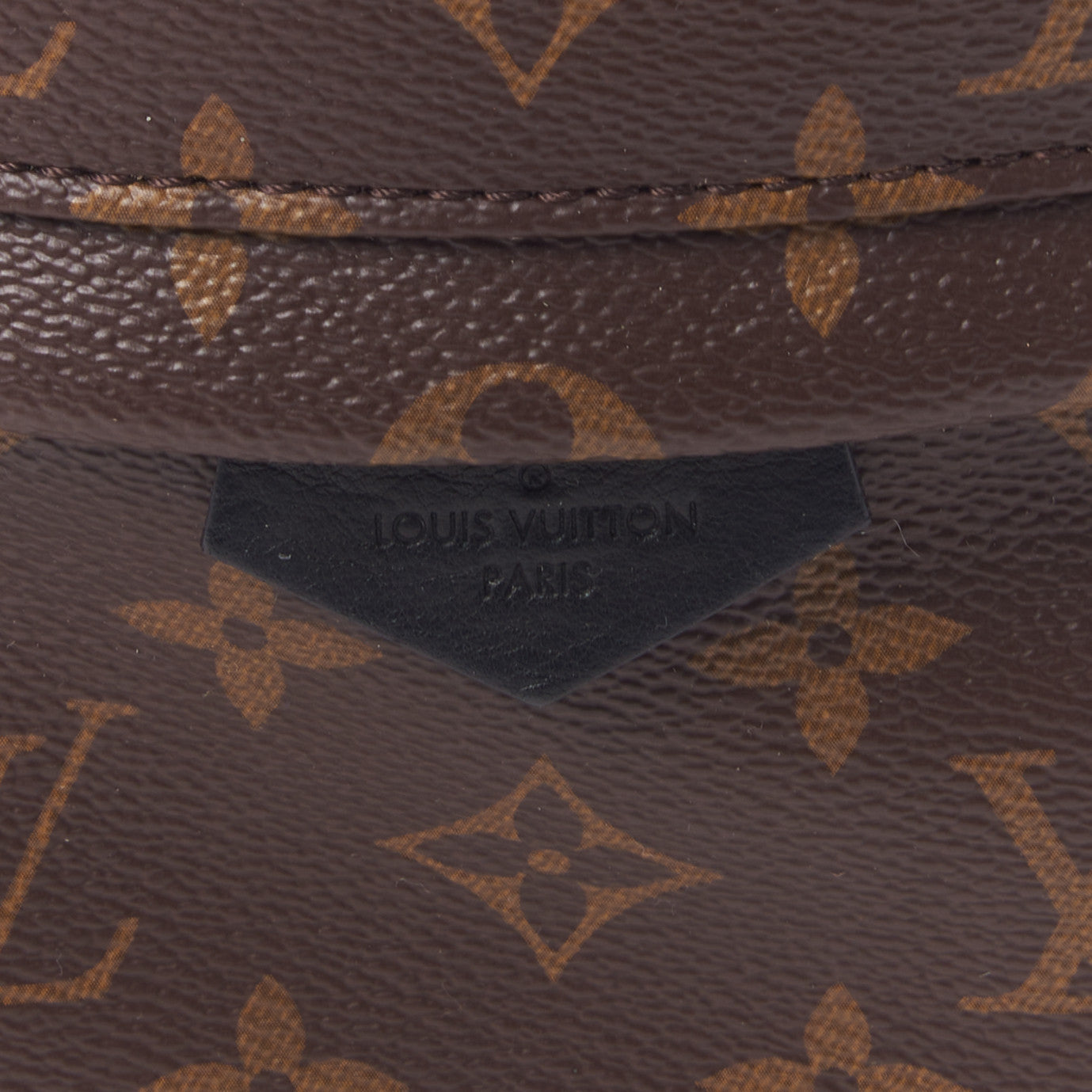 Monogram Palm Springs Backpack PM