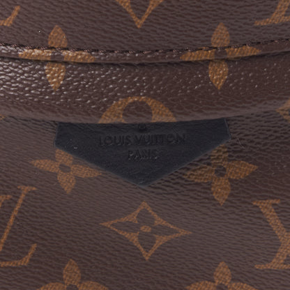 Louis Vuitton Monogram Palm Springs Backpack PM 8 of 9
