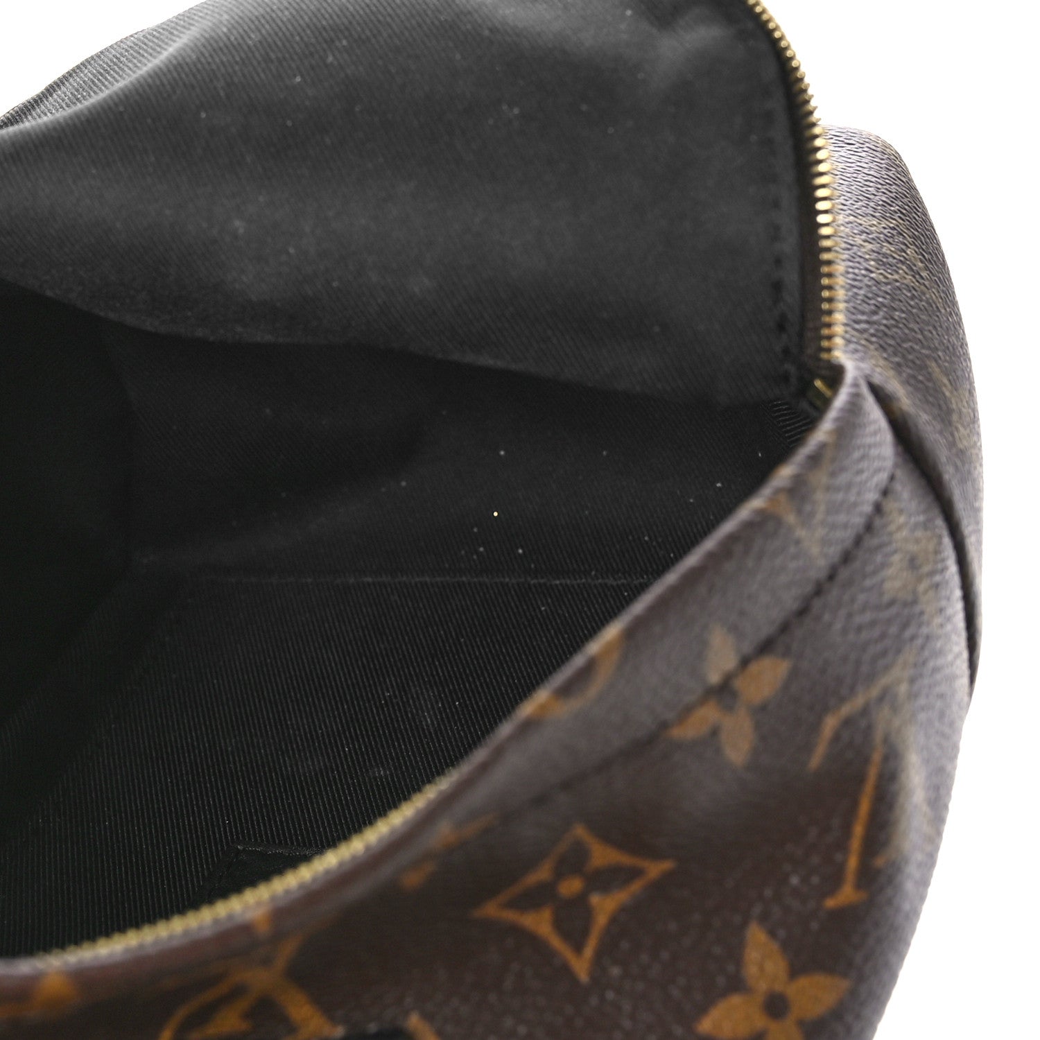 Louis Vuitton Monogram Palm Springs Backpack Mini 5 of 9