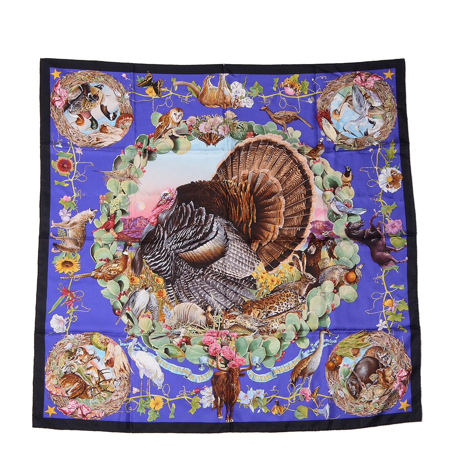 Silk Faune Et Flore Du Texas Scarf 90