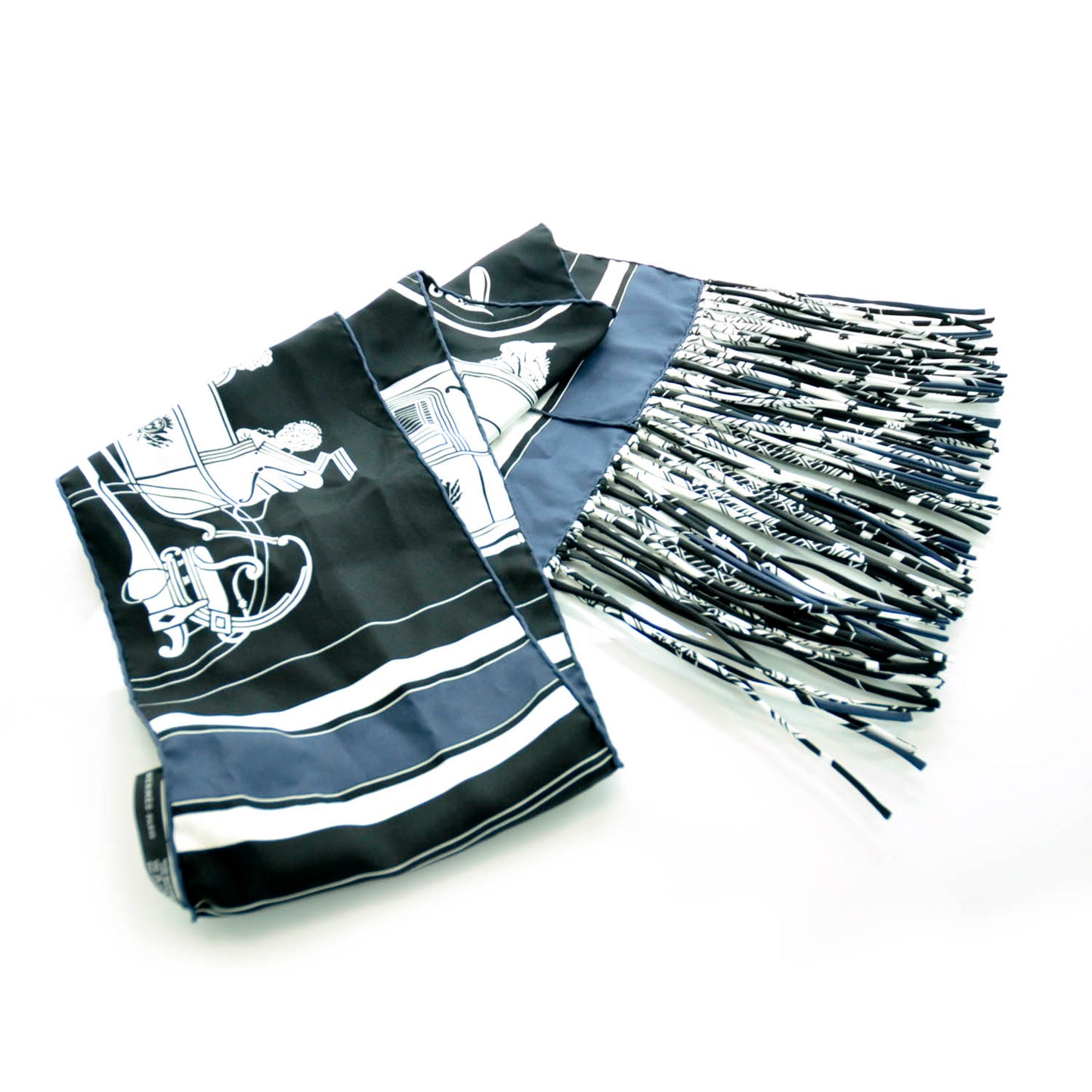 Silk Ex Libris Fringe Scarf