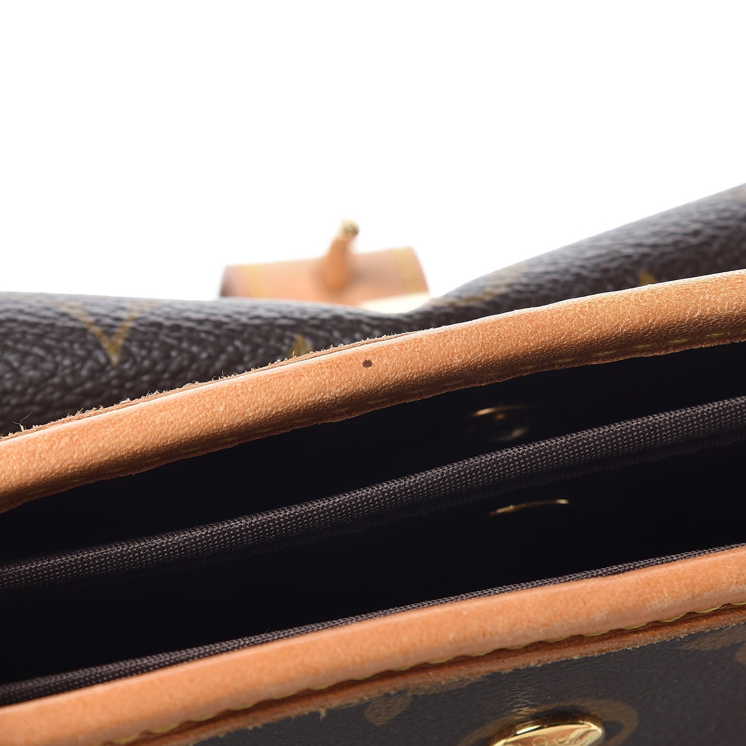 Louis Vuitton Monogram Baxter PM Dog Pet Carrier 9 of 13