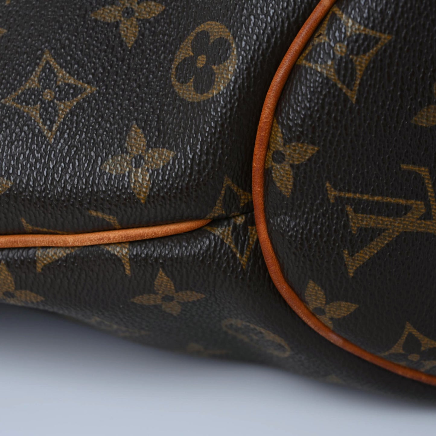 Monogram Delightful PM
