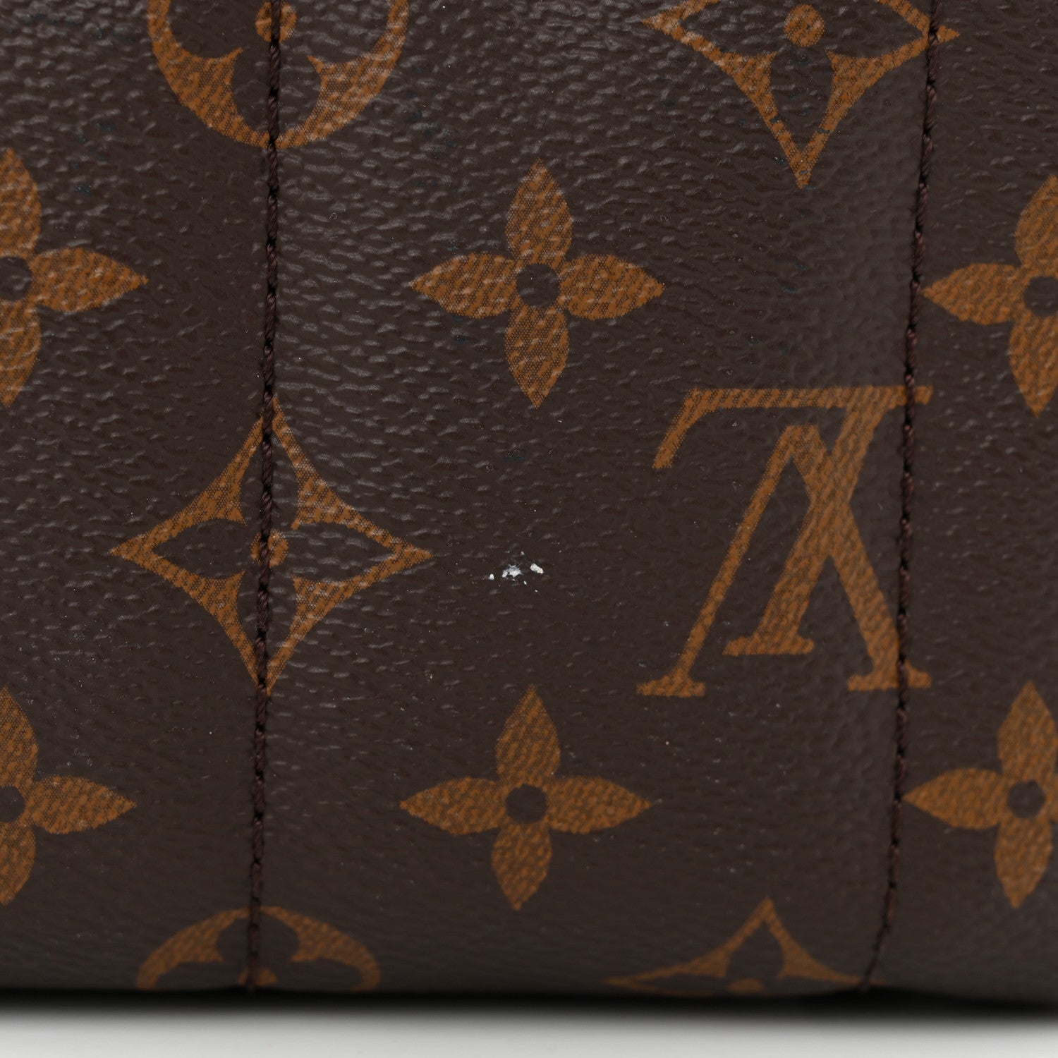 Louis Vuitton Monogram Palm Springs Backpack Mini 11 of 12