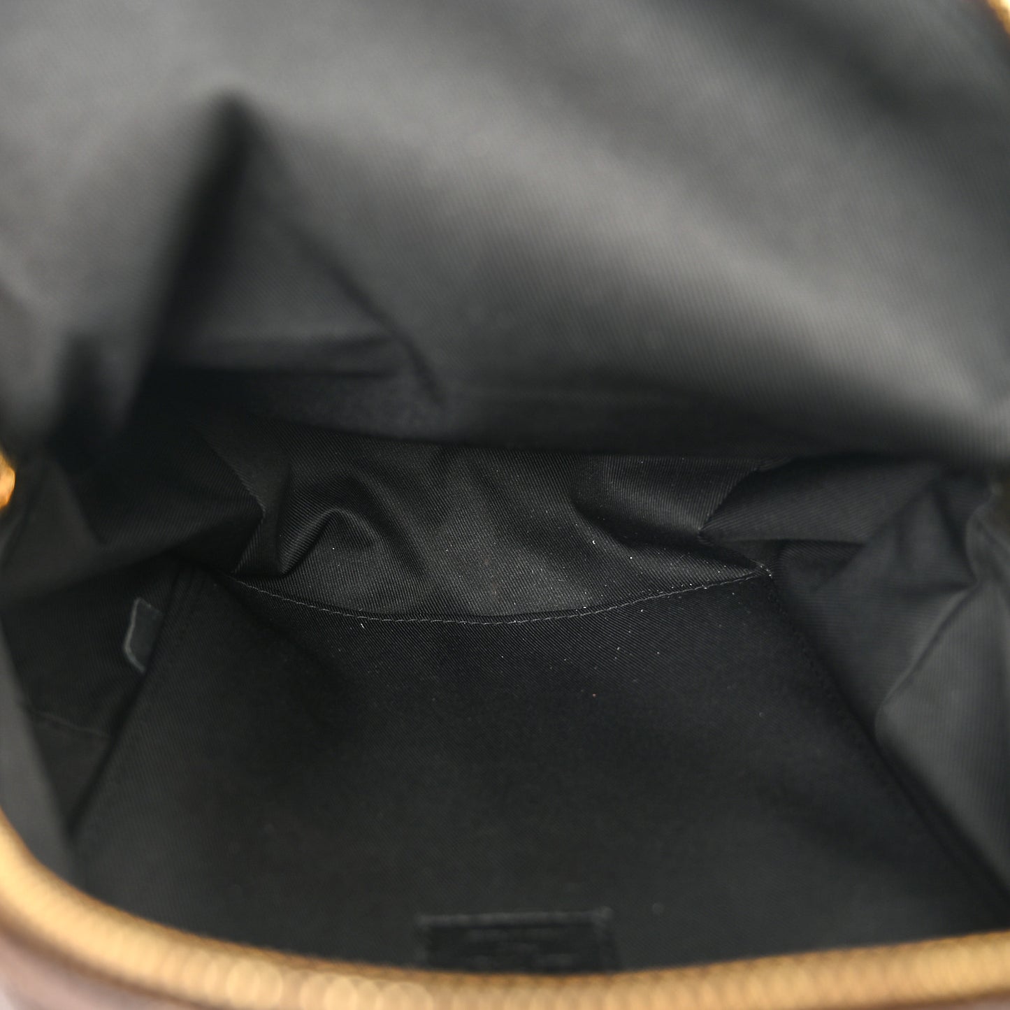 LOUIS VUITTON Monogram Palm Springs Backpack PM