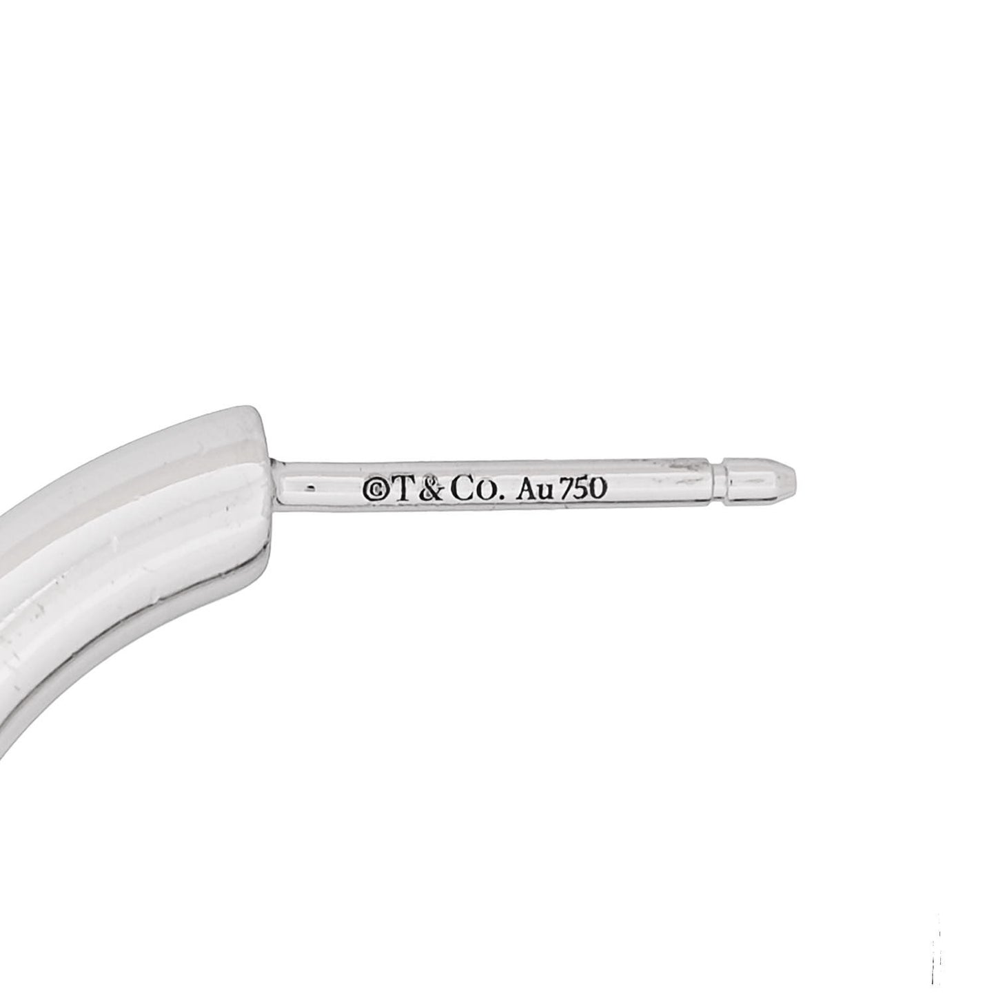 18K White Gold Medium Lock Earrings