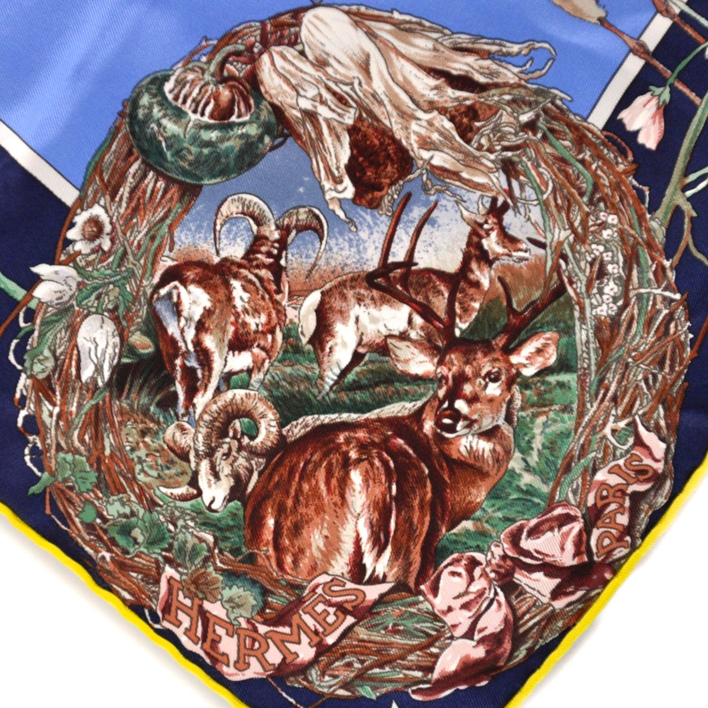 Silk Faune et Flore du Texas Scarf 70