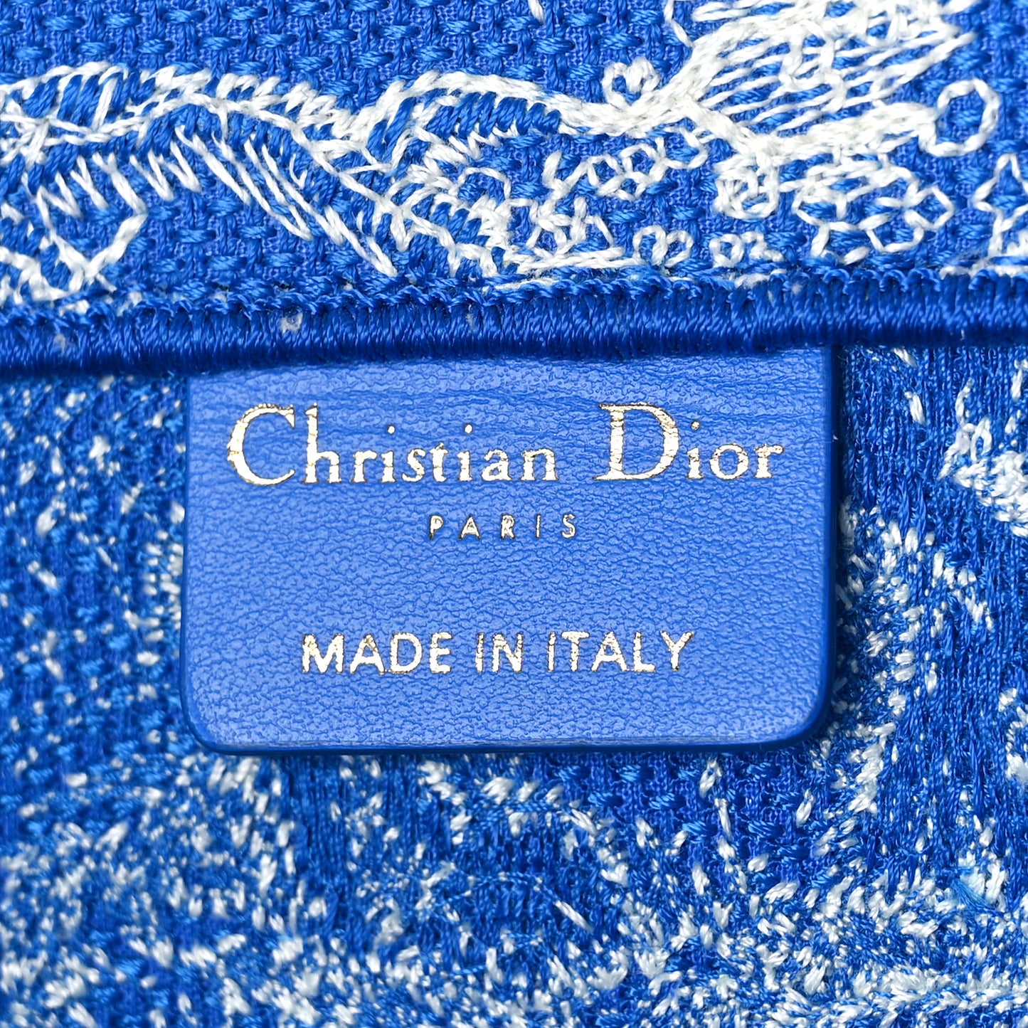 Canvas Embroidered Medium Dioriviera Toile De Jouy Book Tote Fluorescent Blue