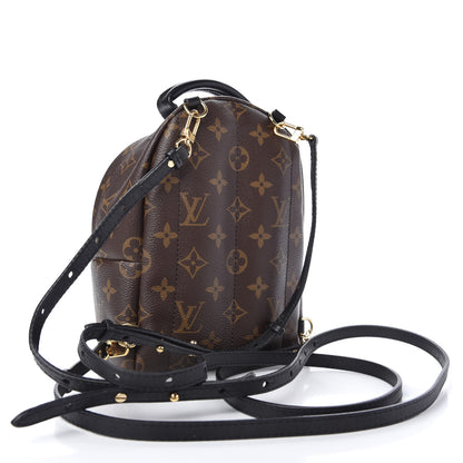 Louis Vuitton Monogram Palm Springs Backpack Mini 3 of 9