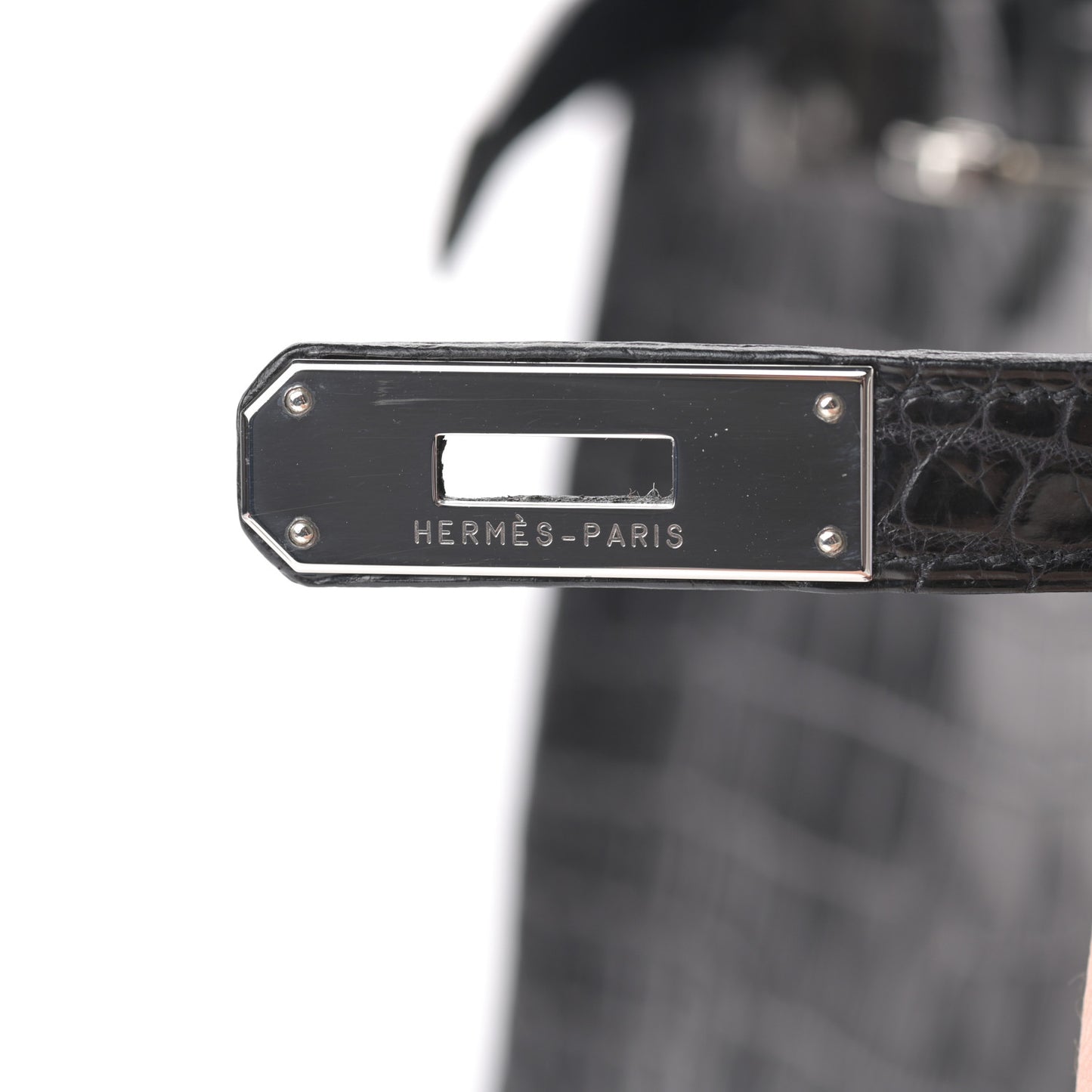 Matte Niloticus Crocodile Birkin 30 Black