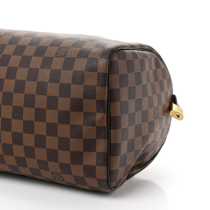 Louis Vuitton Damier Ebene Speedy 30 10 of 10