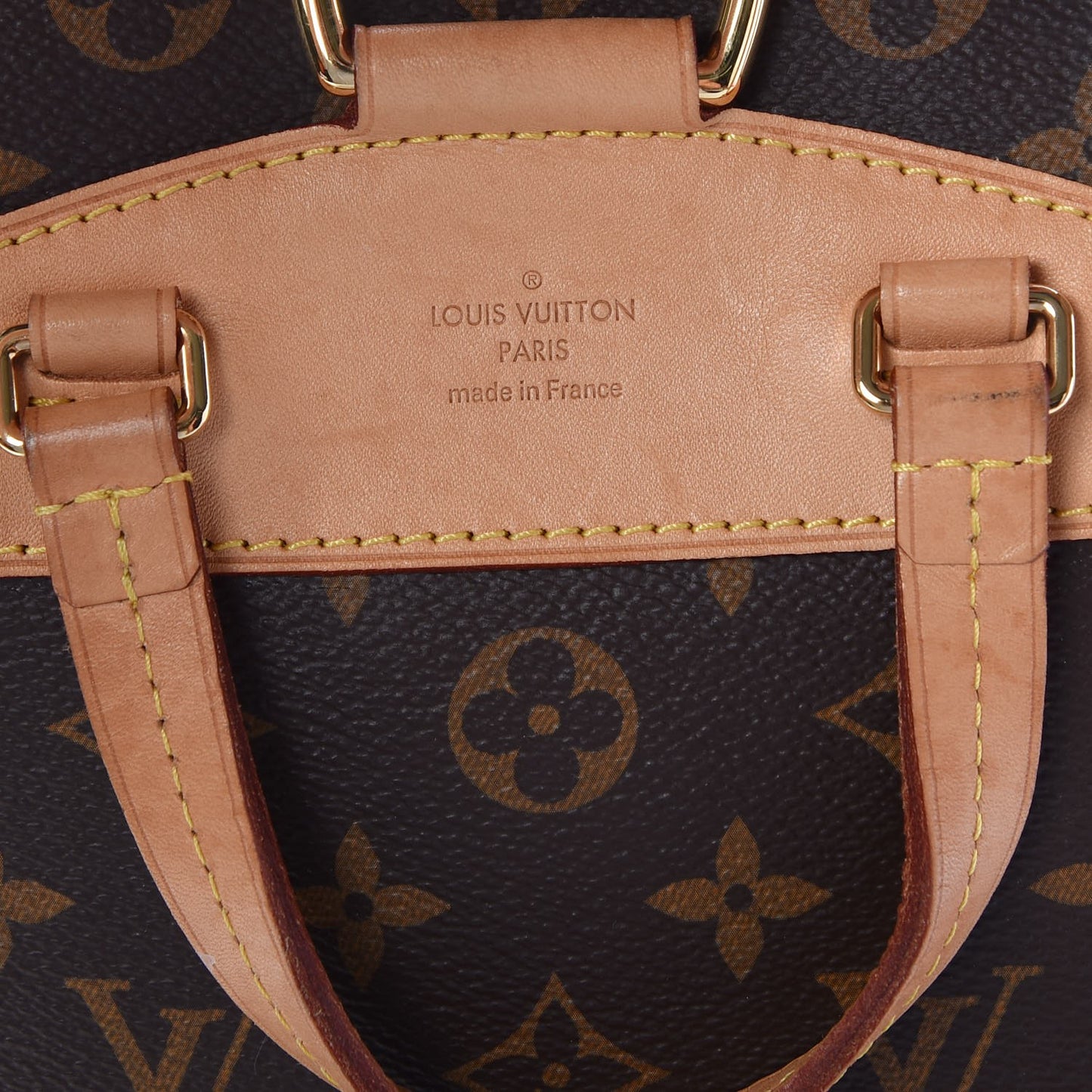 Monogram Montsouris NM Backpack