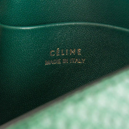 Celine Python Small Trotteur Dark Green 6 of 7