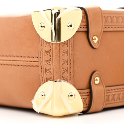Louis Vuitton Calfskin Side Trunk PM Tan 9 of 11