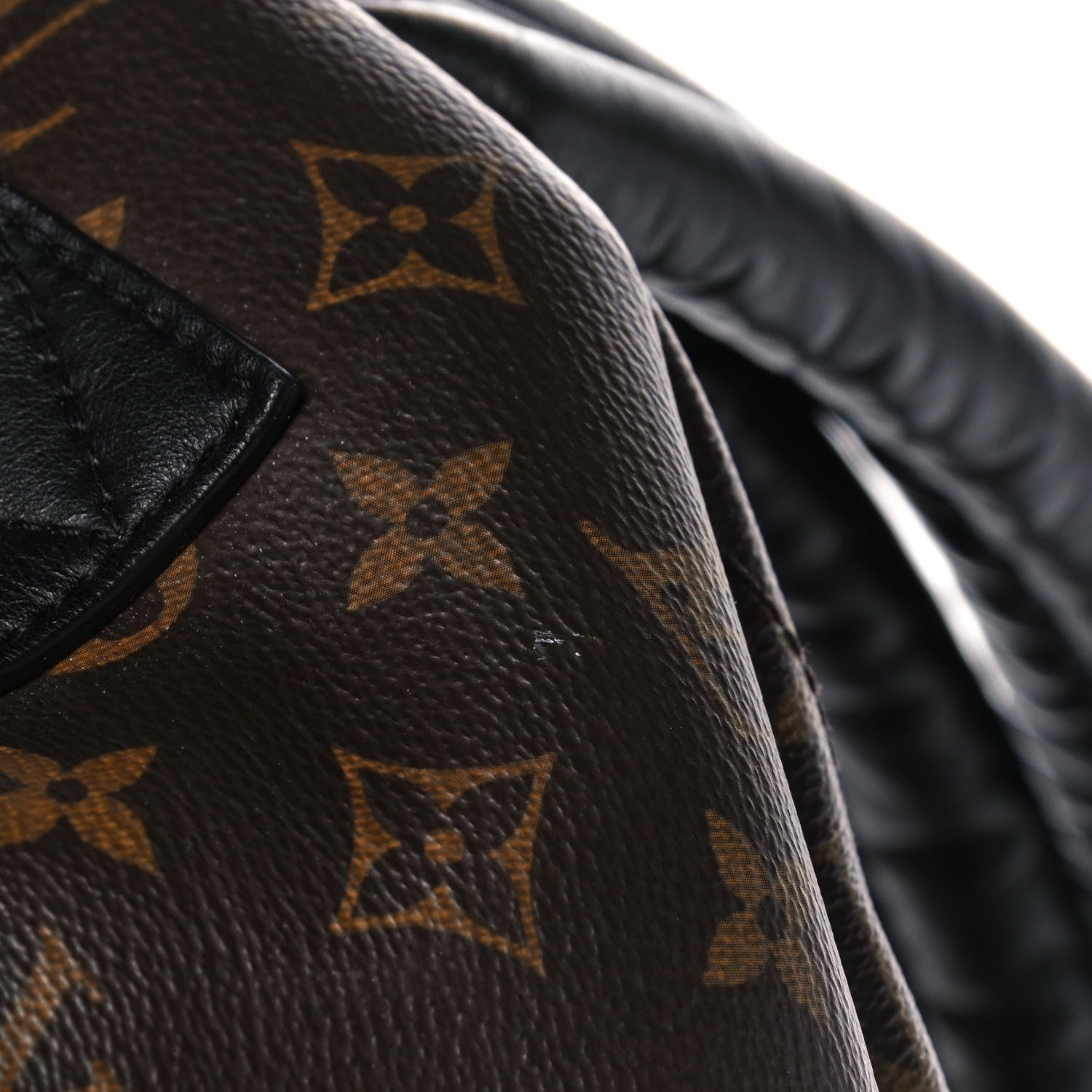 Louis Vuitton Monogram Palm Springs Backpack MM 10 of 12