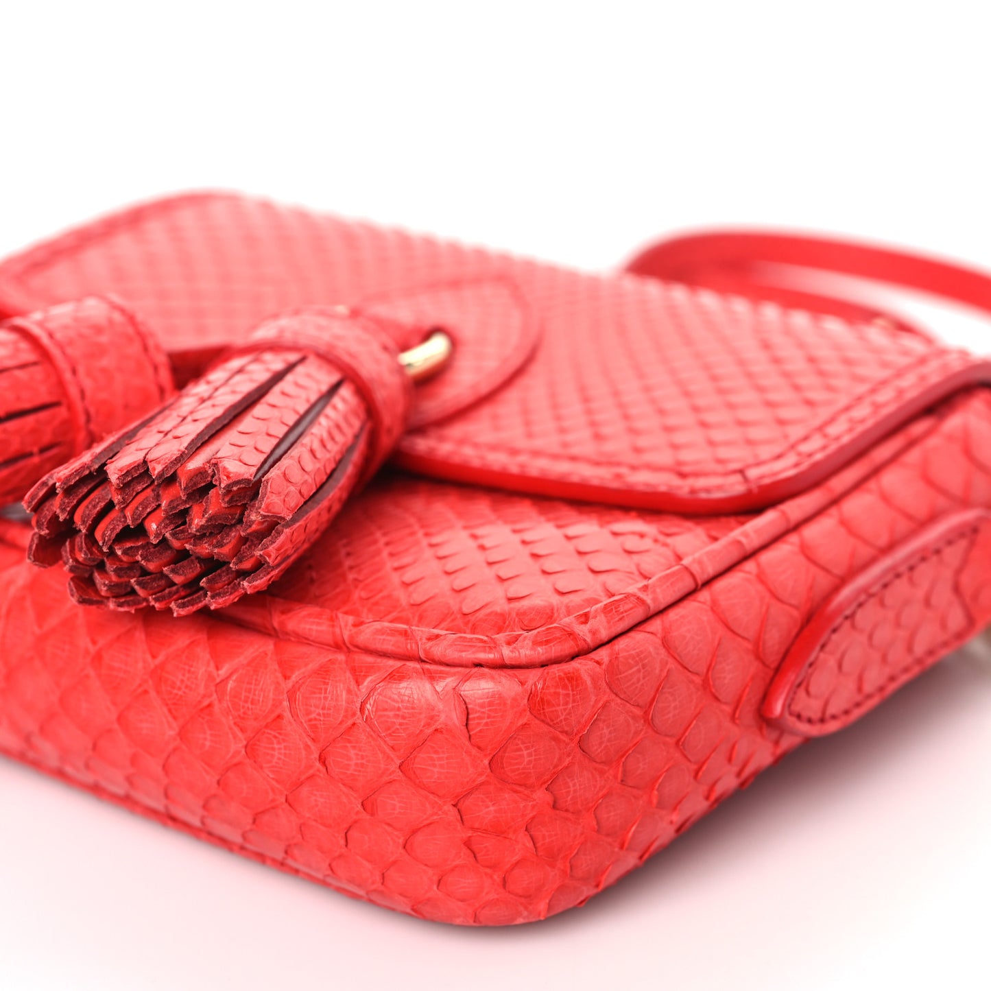 Snakeskin Mini Tassel Crossbody Bag Red