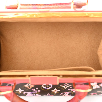 Louis Vuitton Watercolor Aquarelle Frame Papillon Brown 5 of 10