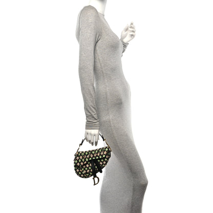 Christian Dior Beaded Fringe Mini Saddle Bag Green Multicolor 2 of 11