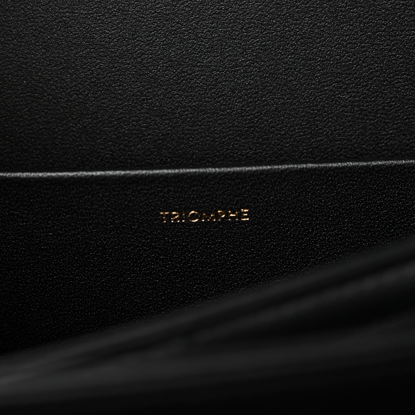 Shiny Calfskin Medium Triomphe Black