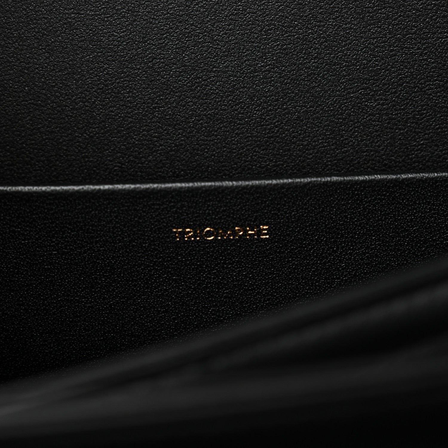 Celine Shiny Calfskin Medium Triomphe Black 7 of 10