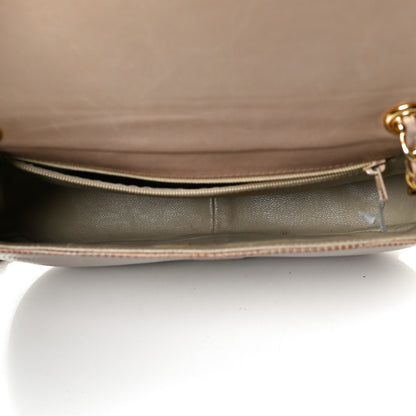 Chanel Snakeskin Flap Brown 5 of 10