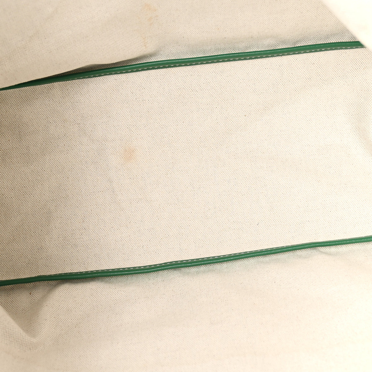 Goyardine Saint Louis PM Green