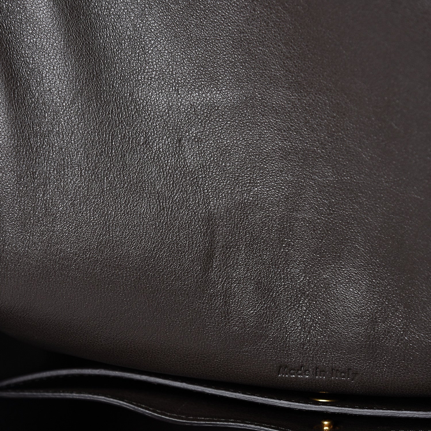 Celine Supersoft Calfskin Medium Trotteur Wood 17 of 18