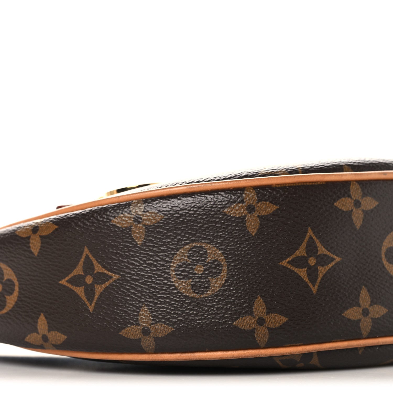 Louis Vuitton Monogram Loop 8 of 10