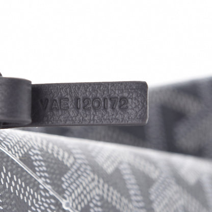Goyard Goyardine Saint Louis PM Grey 10 of 10