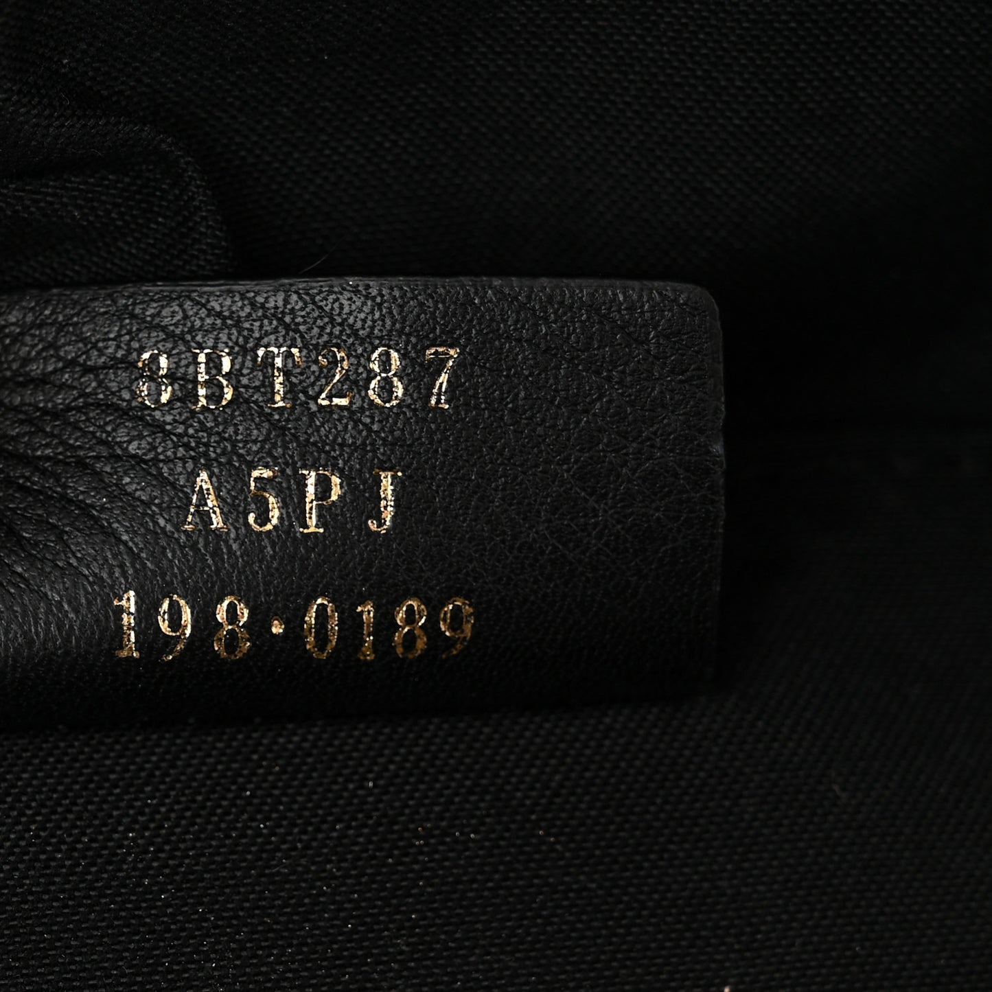 Vitello Century F is Fendi Bi-Color FF 1974 Embossed Camera Case Maya Black