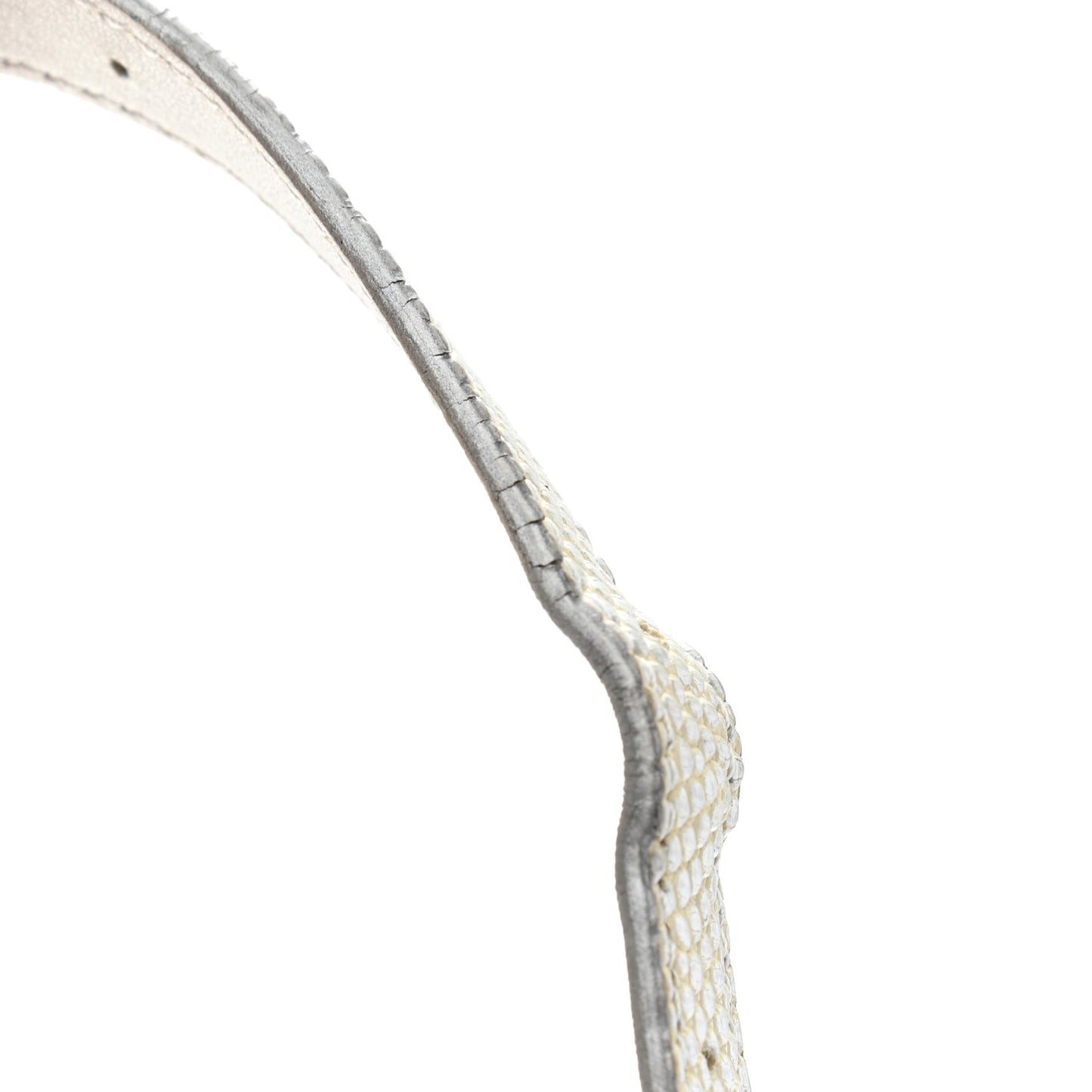 Metallic Lizard Round As Earth Evening Bag Silver