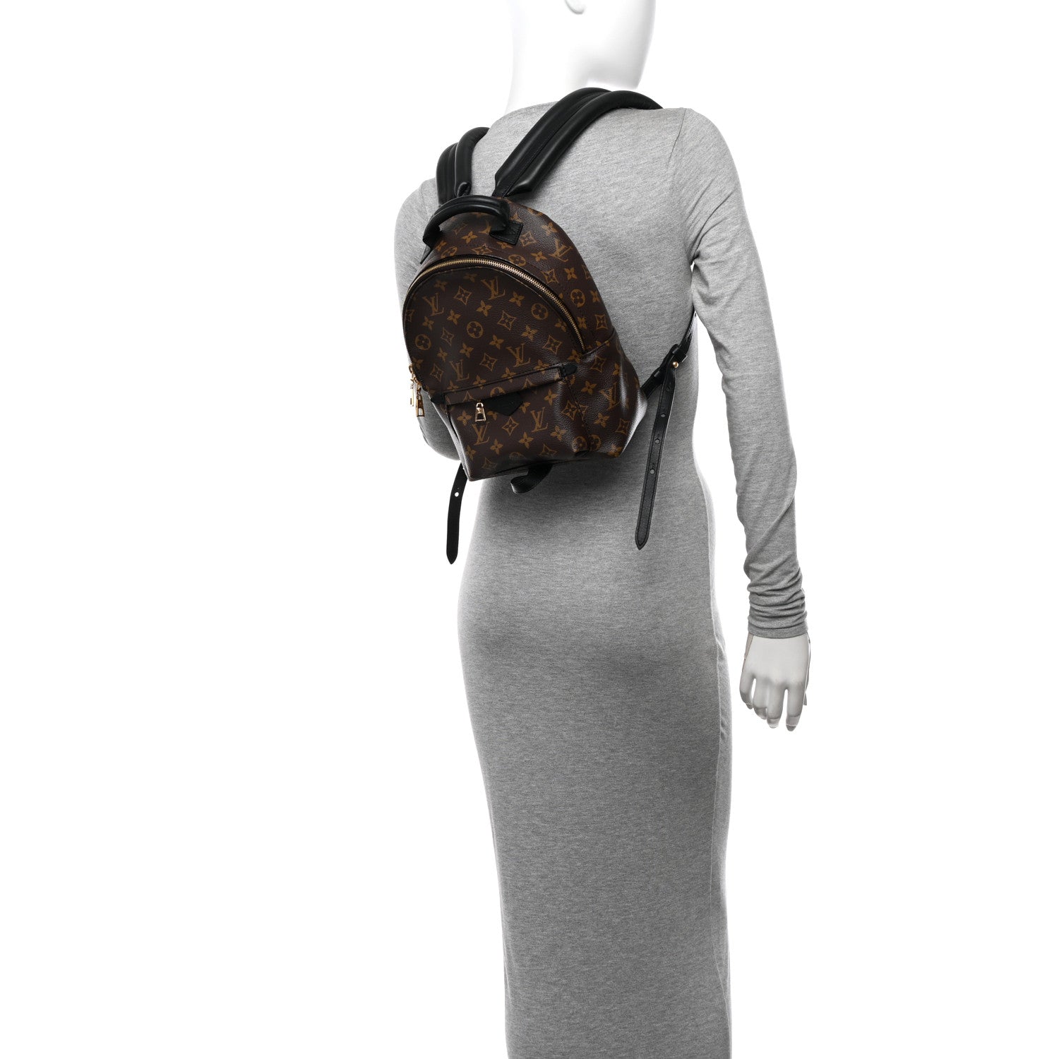 Louis Vuitton Monogram Palm Springs Backpack PM 2 of 10