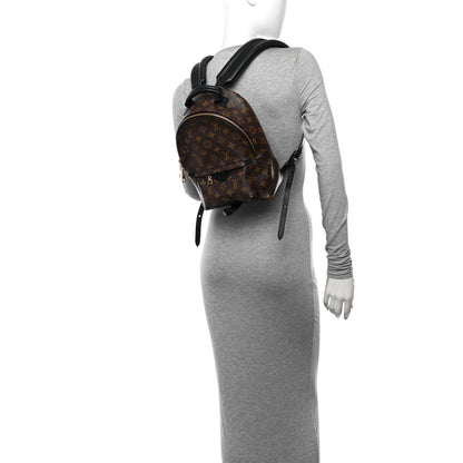 Louis Vuitton Monogram Palm Springs Backpack PM 2 of 10