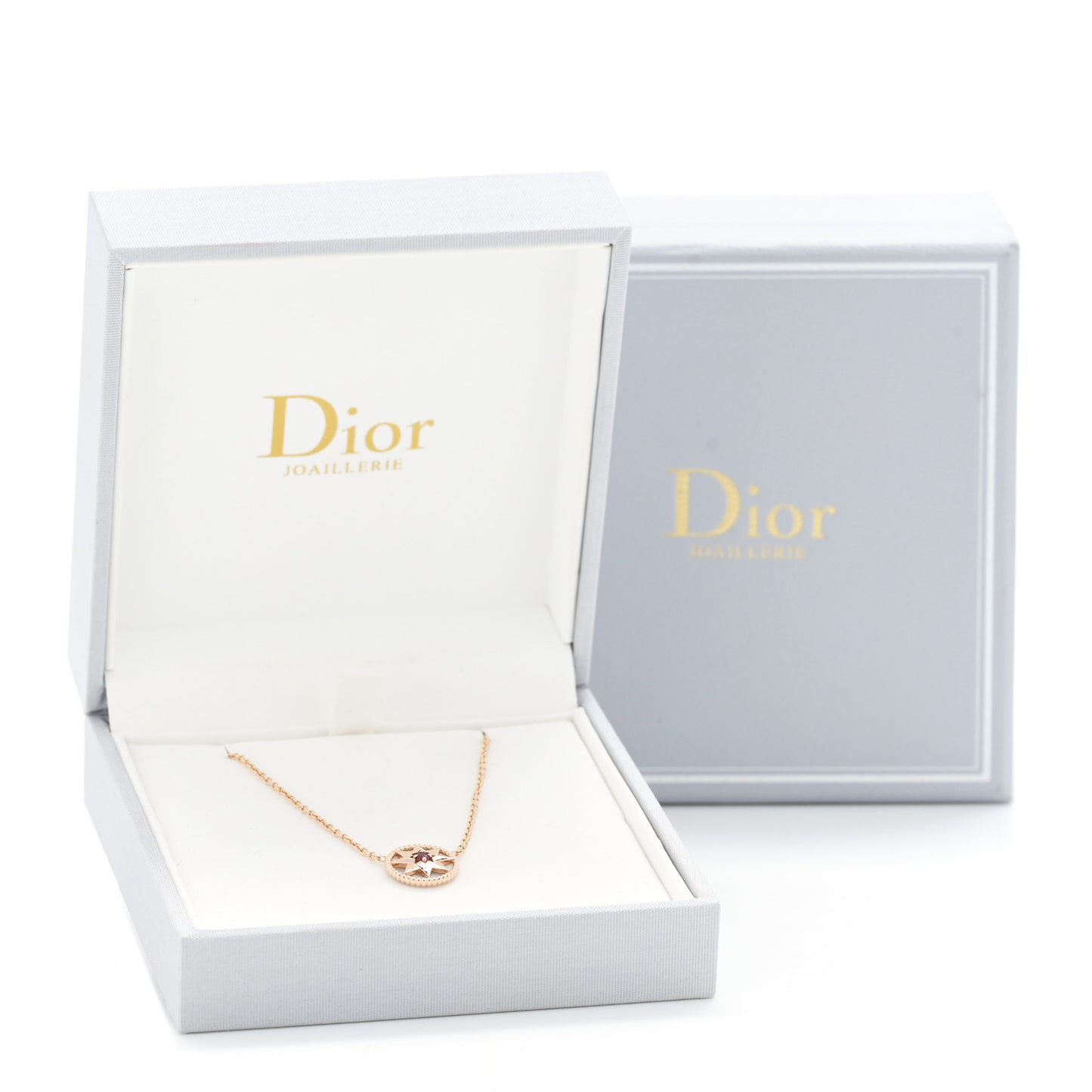 18K Rose Gold Ruby Mother of Pearl Rose Des Vents Necklace