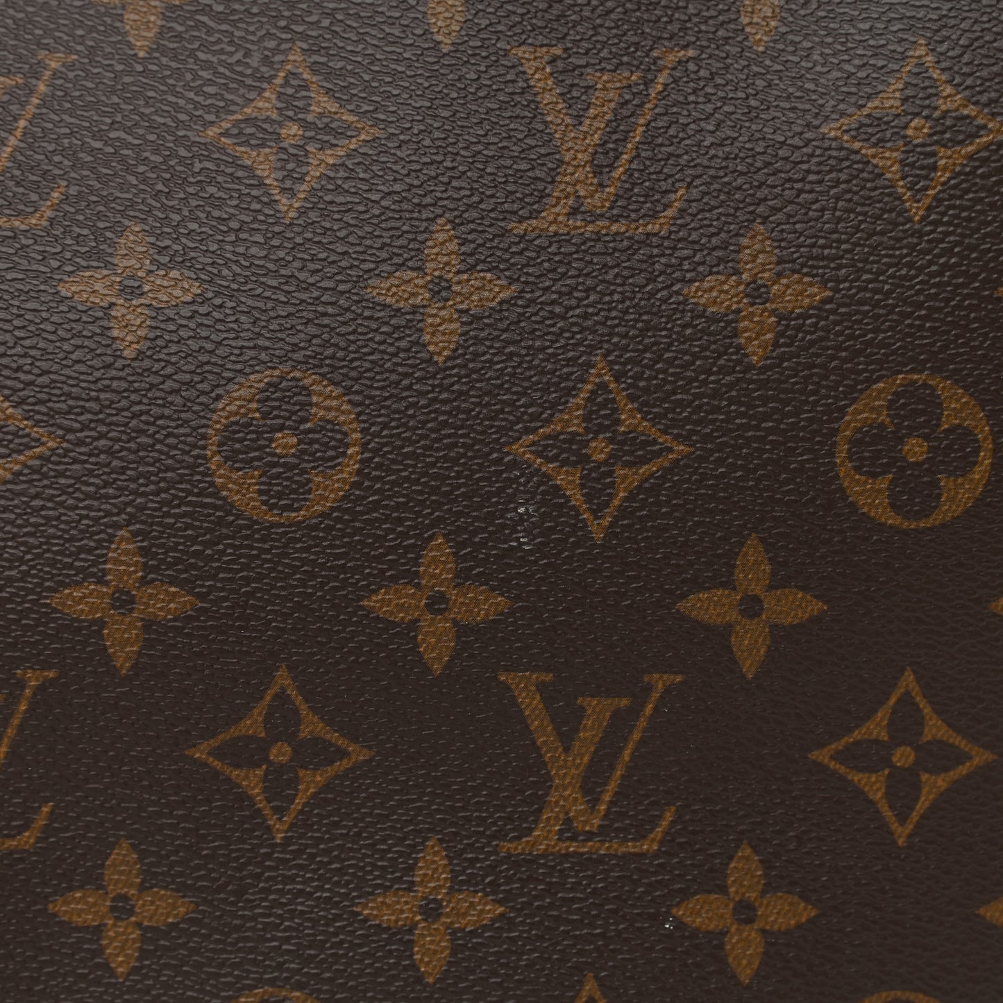 Monogram Neo Neverfull MM